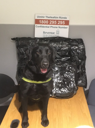 Scooby sniffed out the drugs.