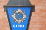Two brothers kicked, punched and spat at garda&Atilde;&shy; and stripped down 'entirely'