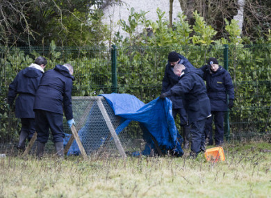 Garda search teams at the scene of the discovery in an isolated field on a farm at Walterstown on the Kildare-Meath border