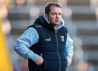 Davy Fitzgerald (file pic).