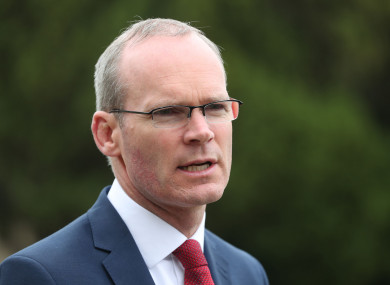 Tánaiste Simon Coveney speaks to TheJournal.ie about why he is voting Yes in the referendum.
