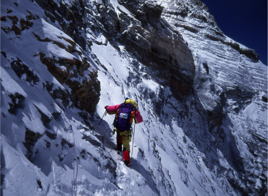 Dawson Stelfox successfully reached Everest's peak in 1993.