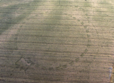 A large henge near Newgrange revealed during the dry weather.