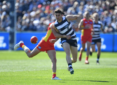 Mark O'Connor in action for Geelong in the AFL in August.