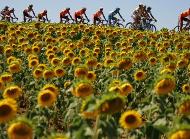 Riders in southwestern France last year.