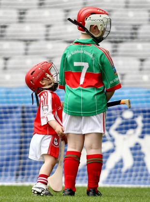 Ferns' two-year-old Bobby Murray introduces himself to his Rower/Instioge marker at Croker yesterday.