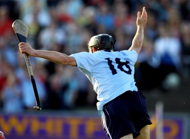 Dublin's Eamon Dillon celebrates after scoring a goal at Wexford Park last night.