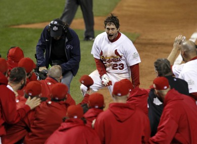 Teammates celebrate with St Louis Cardinals' David Freese.