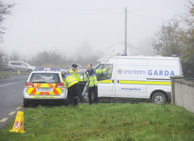 Gardaí in Co Meath at the scene of the discovery of Noonan's remains.