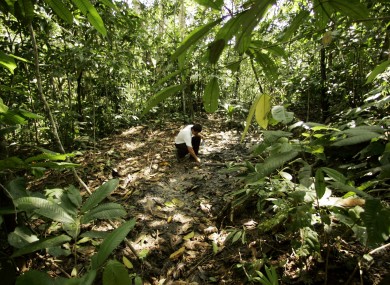 An activist from the Amazon Defense Coalition, looks at oil remains over a well that was repaired by Texaco during its operation in Ecuador's Sucumbios province.