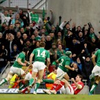 The best of a poor bunch, The Ulster hooker was too often the only member of the green pack showing their teeth.<span class=
