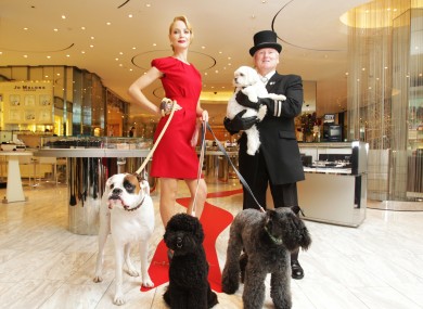 Not every dog knows how to behave as well as these four who were treated to a trip to Brown Thomas.