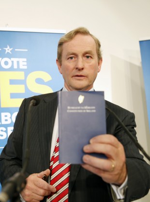 The Constitution will be a bit lighter if the Seanad referendum passes.