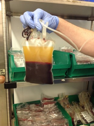 Blood separated