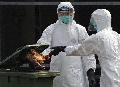 A file photo shows health workers during an outbreak of bird flu in Hong Kong in 2013.