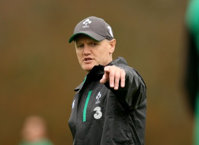 Schmidt masterminded a Six Nations triumph earlier this year.