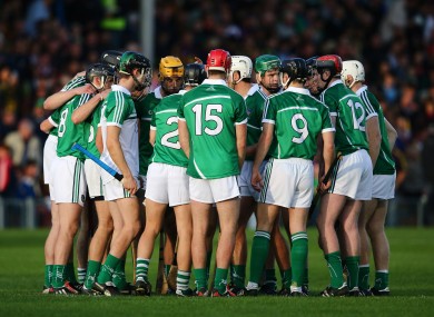 Limerick defeated Wexford in last year's All-Ireland U21 hurling final