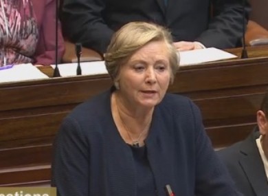 The Minister for Justice and Tánaiste Frances Fitzgerald