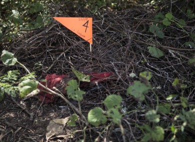 File photo (clandestine graves in Iguala, 2014)