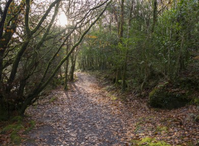 Police were called to Corcrain Community Woodland. (File photo)