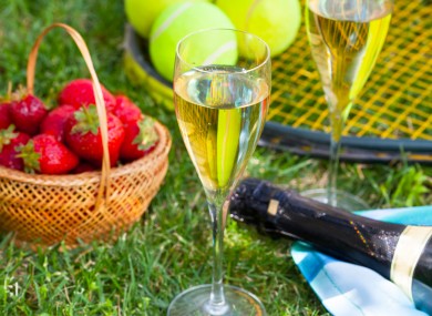 The average Irish back garden, when the tennis comes on.