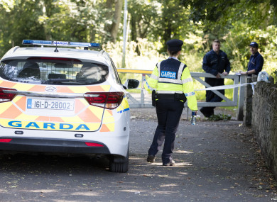 Gardaí at the scene of the discovery.