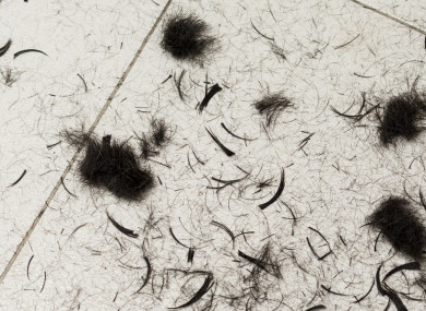 File photo: Hair cuttings on floor.