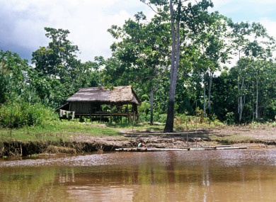 A hut on the Amazon River east of Iquitos.