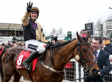Nichols Canyon: Ruby Walsh celebrates big Cheltenham win.