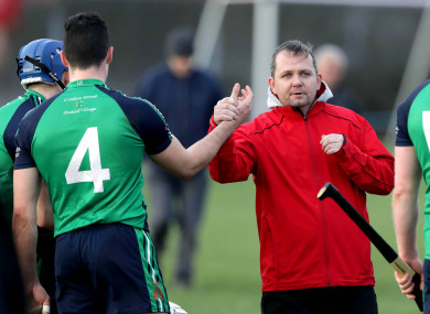 Davy Fitzgerald has guided Limerick IT to another Fitzgibbon Cup quarter-final.
