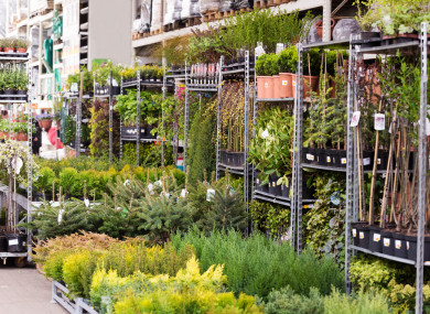 The man was sacked from his managerial role in a Garden Centre.