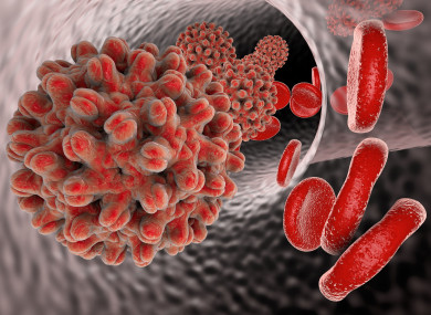 A model of the hepatitis virus