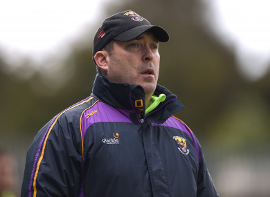 Eamonn Scallan is the new Wicklow senior hurling manager.