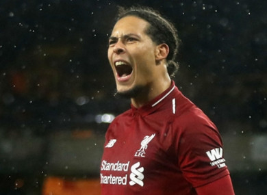 Virgil van Dijk (file pic).