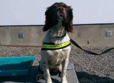 Meg helped make the discovery during routine operations.