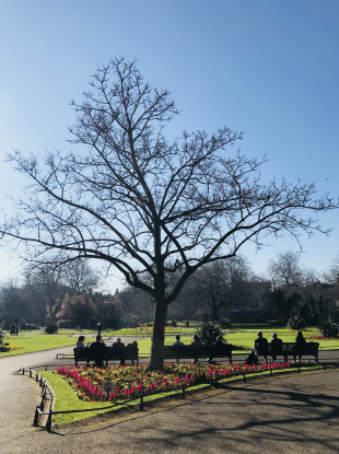 People sitting in Dublin's St Stephens Green enjoying spring sunshine.