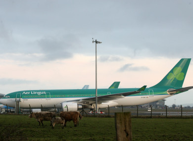 An Aer Lingus flight at Cork Airport (File photo)