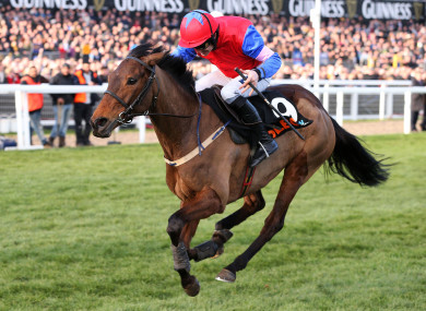 Like mother, like daughter: Quevega in action at the 2014 Cheltenham Festival.