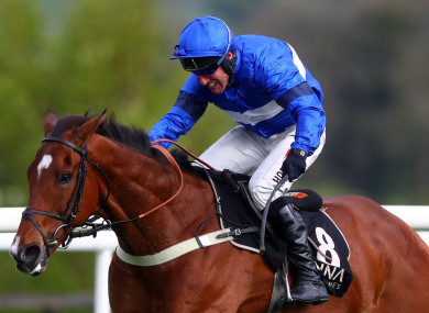 Robbie Power on Reserve Tank on his way to winning at Punchestown.