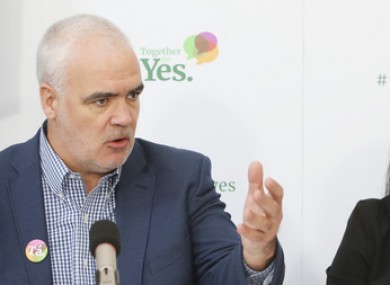 Whelan - left - played a significant role for the Yes side of the 2015 same-sex marriage referendum.