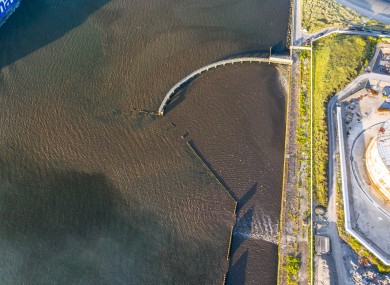 A brown plume photographed in Dublin Bay this week