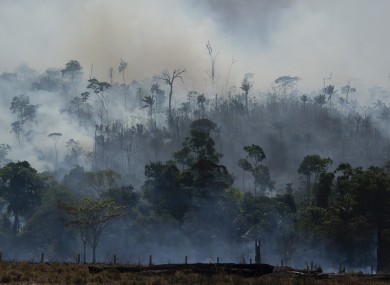 Fire consumes an area in Altamira, Brazil