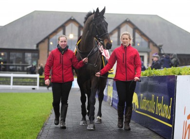 Comeback: Sizing John (file photo).