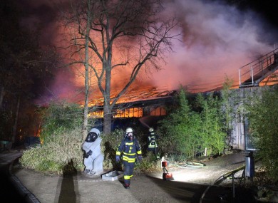 Firefighters stand in front of the burning monkey house at Krefeld Zoo, in Krefeld, Germany