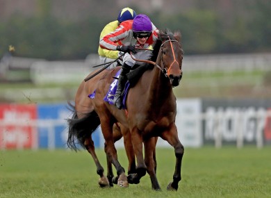 Grand Partner enjoyed success at Leopardstown on Sunday.