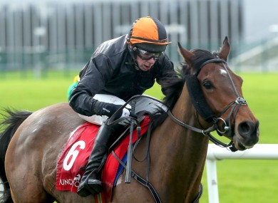 Neverushacon, ridden by Paddy Kennedy.