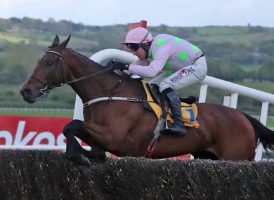 Chacun Pour Soi at last year's Punchestown Festival.