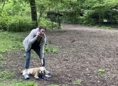 The video of a white woman, dubbed the Central Park Karen, calling 911 on a black man after he requested she leash her dog went viral earlier this week.