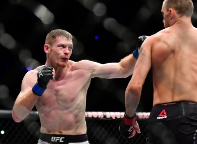 Joseph Duffy (left) will have his eighth outing under the UFC banner in Abu Dhabi next month.