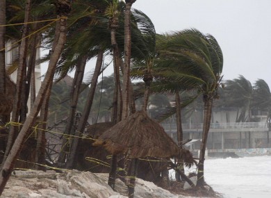 Palm trees are buffeted by the wind of Hurricane Zeta in Playa del Carmen, Mexico